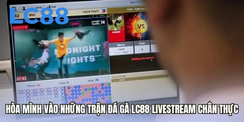 Hòa mình vào những trận đá gà LC88 livestream chân thực